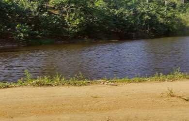 Imagem 1: Vendo Excelente Fazenda Em Gandu