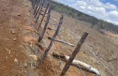 Imagem 6: Fazenda top com 98 hectares na região de São Paulo do Potengi