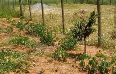 Imagem: O terreno possui 1000m² de Área e está localizado em Jaboticatubas