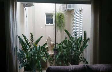 Imagem 3: SÃO JOSÉ DO RIO PRETO - Casa Padrão - VILA ANGÉLICA