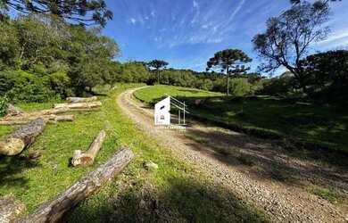 Imagem 12: Área rural com 67 ha, casas, açude e pinus