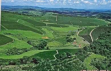 Imagem 3: Linda fazenda para venda em Bom Sucesso MG