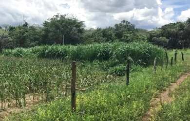 Imagem 11: Sítio 24,7 ha em Unaí/MG - Água Permanente, Casa, Pastos - Aceita Financiamento