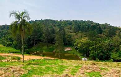 Imagem 5: Lote 500m² em condomínio fechado Natureza, lazer e valorização garantida