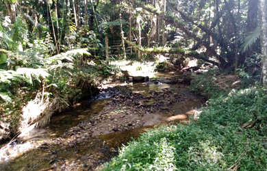 Imagem 2: Chácara com local para lago casa simples