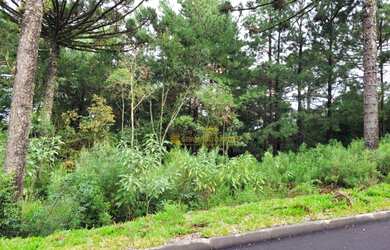 Imagem: O terreno possui 450m² de Área, Imóvel novo e está localizado