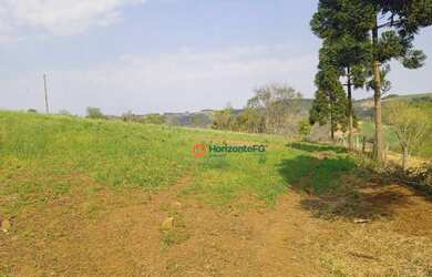 Imagem 16: Chácara 5 Alqueires em Cantagalo-Pr