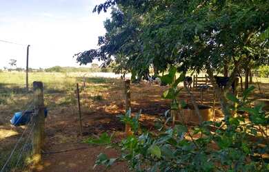 Imagem 11: Chácara 40.000 m² - Bela Vista de Goiás - GO