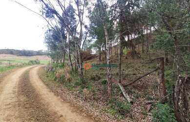 Imagem 10: Chácara 5 Alqueires em Cantagalo-Pr