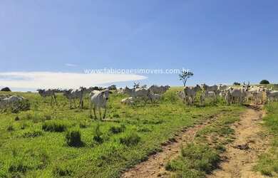 Imagem 9: Fabio Paes Imóveis - Fazenda 81 alq no Norte Fluminense