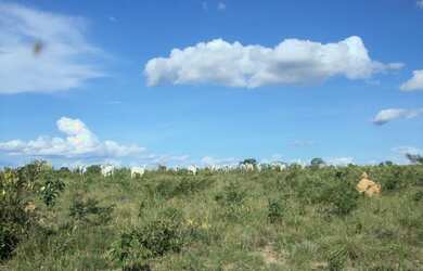 Imagem 10: Fazenda 356,85 ha - Brasilândia de Minas - MG