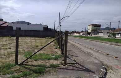 Imagem 6: Terreno escriturado - Biguaçu