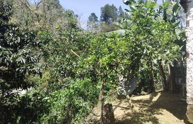 Imagem 6: Carmen Imoveis Venda Casa Serra do Piloto