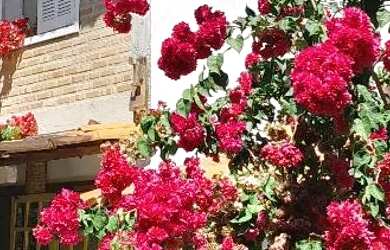 Imagem 5: Saquarema temporada loft perto da praia de itaúna