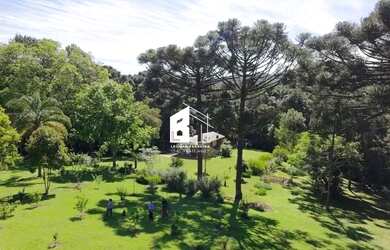 Imagem 8: Área rural com 67 ha, casas, açude e pinus