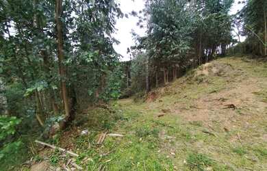 Imagem 8: Terreno a venda. 5.340m² de Área