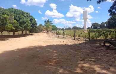 Imagem 14: FAZENDA EM BURITIZEIRO MG NA BEIRA DO RIO SÃO FRANCISCO FORMADA E COM...