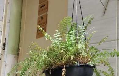 Imagem: O apartamento possui 1 Dormitório, 1 Banheiro, 35m² de Área