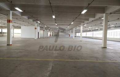 Imagem 11: SAO PAULO - Galpão/Depósito/Armazém - Jardim Pereira Leite