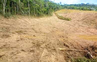 Imagem: A fazenda possui 56400m² de Área e está localizado em Domingos