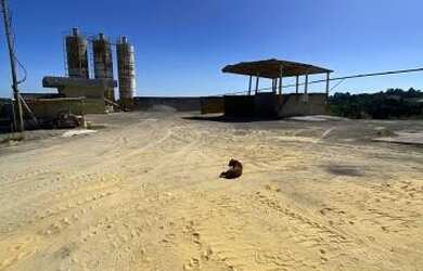 Imagem 14: Pavilhão / Depósito São Giácomo Caxias do Sul