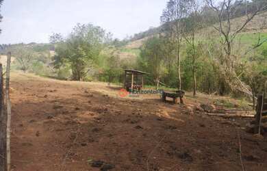 Imagem 8: Chácara 5 Alqueires em Cantagalo-Pr