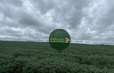 Imagem 1: Fazenda com 3 dormitórios à venda, 350000 m² por R$ 800.000.000,00...