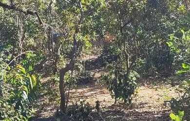 Imagem 2: Terreno. 1.600m² de Área