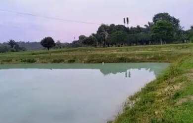 Imagem 13: Vende-se Propriedade Rural - AM-352, Km 42 - Novo Airão/AM