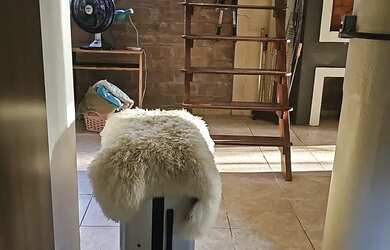 Imagem 12: Casa 3 dormitórios, 1 suíte