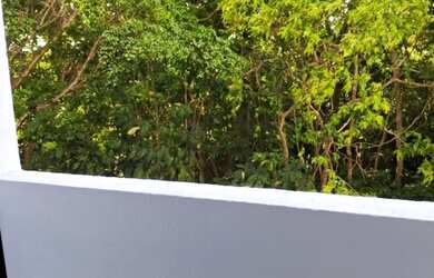 Imagem 10: Apartamento com suite e varanda na Santa Amélia oportunidade de 230mil...