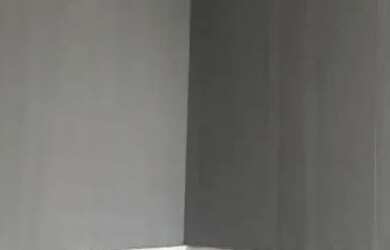 Imagem 10: Vende -Se Apartamento. 1 Banheiroe2 Dormitórios