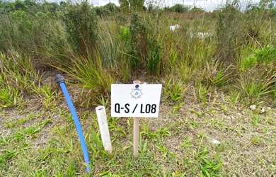 Imagem: O terreno possui 405m² de Área e está localizado em Jaguaripe