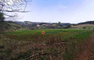 Imagem 3: Chácara 5 Alqueires em Cantagalo-Pr