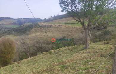 Imagem 6: Chácara 5 Alqueires em Cantagalo-Pr