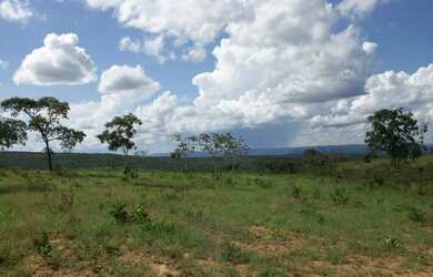 Imagem 4: Fazenda 356,85 ha - Brasilândia de Minas - MG