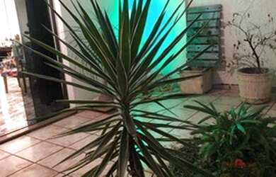 Imagem 10: Sobrado. Varanda, 186m² de Área, 2 Vagas na garageme3 Dormitórios