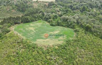 Imagem 13: Área à venda, 16 alqueires por R$ 2.000.000 - Zona Rural - Campina do...