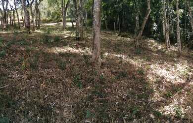 Imagem: O terreno à venda e está localizado em Novo Horizonte, Juiz