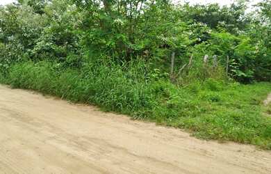 Imagem: O terreno possui 160m² de Área e está localizado em Lourival