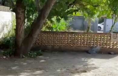 Imagem 4: Casa - Piratininga. 45m² de Área, 2 Banheirose1 Dormitório