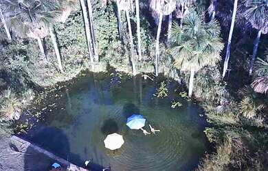 Imagem: A chácara possui 5000m² de Área e está localizado em Área