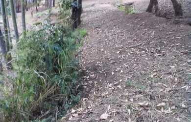 Imagem 9: AREA - JARDIM PROFESSOR BENOÁ - SP