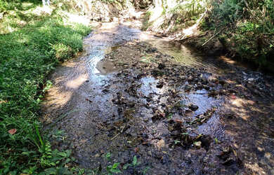 Imagem 4: Chácara com local para lago casa simples