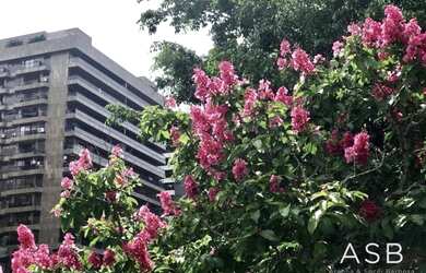 Imagem 10: Vistão da Lagoa com 4 quartos à venda, 374 m² por R$ 7.400.000 - Lagoa - Rio de Janeiro/RJ