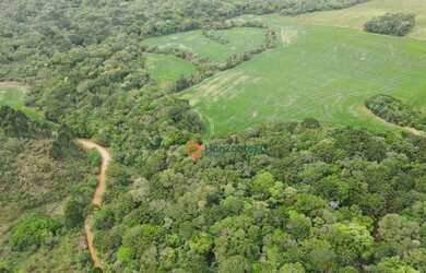 Imagem 15: Área à venda, 16 alqueires por R$ 2.000.000 - Zona Rural - Campina do...