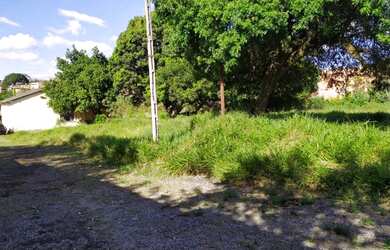 Imagem 16: Lote/Terreno para venda com 5400 metros quadrados em Jardim São Pedro...