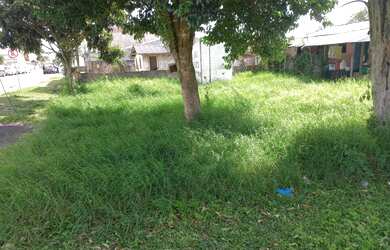 Imagem 4: Lote/Terreno a venda - 165 m² - Jardim Paulista - Campina Grande do Sul /PR