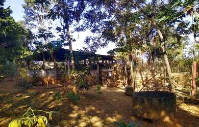 Imagem 13: Chácara 40.000 m² - Bela Vista de Goiás - GO