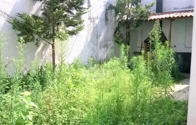 Imagem 12: Loja no Jardim Europa para venda e locação. Excelente oportunidade!